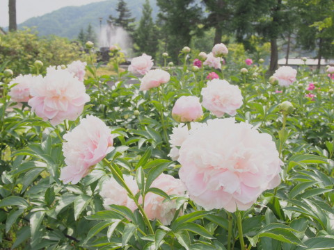 b0147224_20133655.jpg