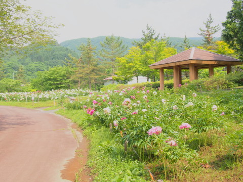 b0147224_2091950.jpg