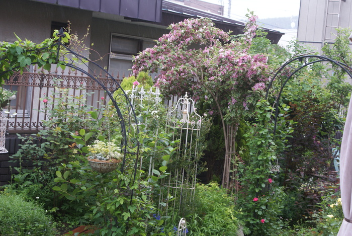 f0170524_1458595.jpg