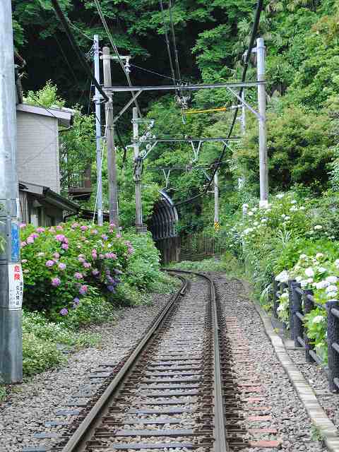 ぷらっと江ノ電の旅_b0000829_751327.jpg