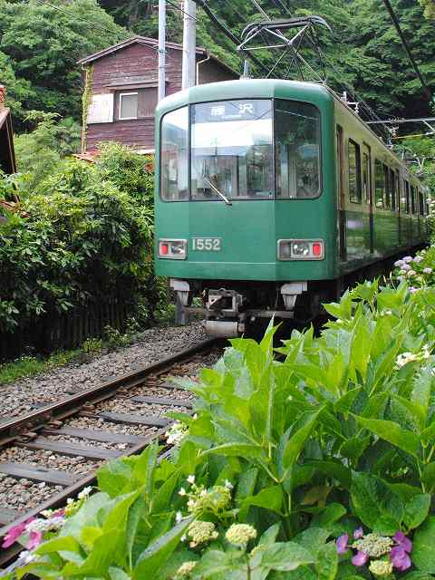 ぷらっと江ノ電の旅_b0000829_7534275.jpg