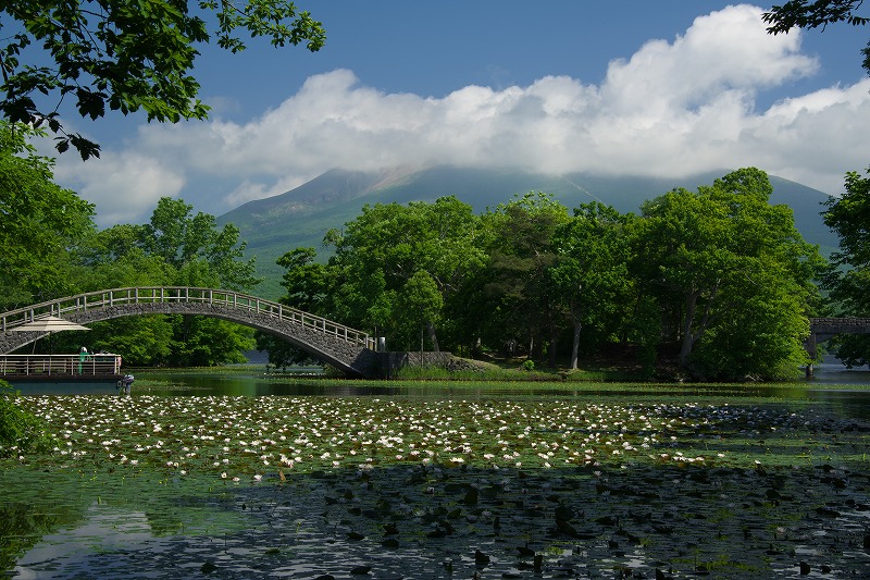 旅を回顧するⅣ「大沼からニセコ」_c0132230_1904538.jpg