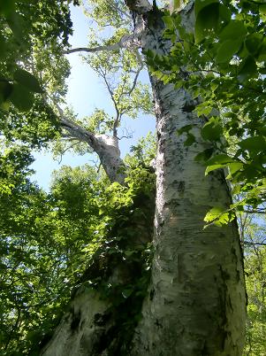 b0137933_043815.jpg