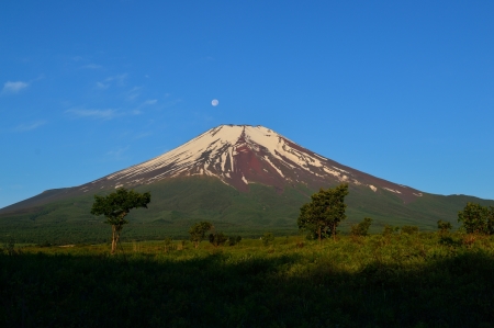 c0314839_10365570.jpg