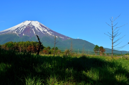 2015年6月15日　梨ヶ原　パール富士_c0314839_10433772.jpg