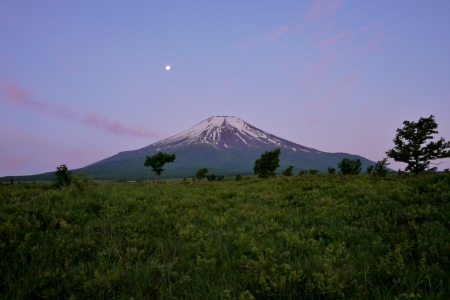 c0314839_11022483.jpg
