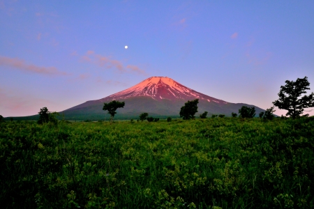 2015年6月15日　梨ヶ原　パール富士_c0314839_11023466.jpg