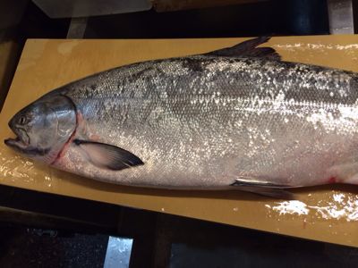 鮭の大助 東日本の怪魚 根津松本 番長 鈴木勇治による 魚の美学