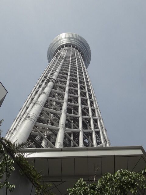 シェイクダウン！ その12。_b0136045_8135295.jpg