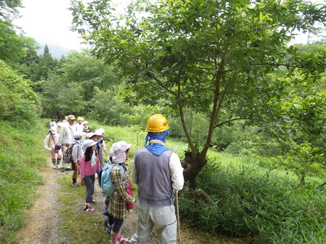 f0342250_18544016.jpg