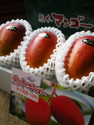 完熟アップルマンゴー お中元に「煌」、お求めやすい「ファミリータイプ」 選べるラインナップを紹介_a0254656_14473953.jpg