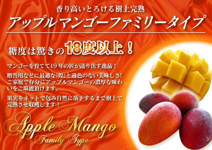 完熟アップルマンゴー お中元に「煌」、お求めやすい「ファミリータイプ」 選べるラインナップを紹介_a0254656_160092.jpg