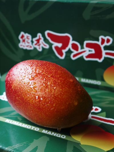 完熟アップルマンゴー お中元に「煌」、お求めやすい「ファミリータイプ」 選べるラインナップを紹介_a0254656_1693246.jpg