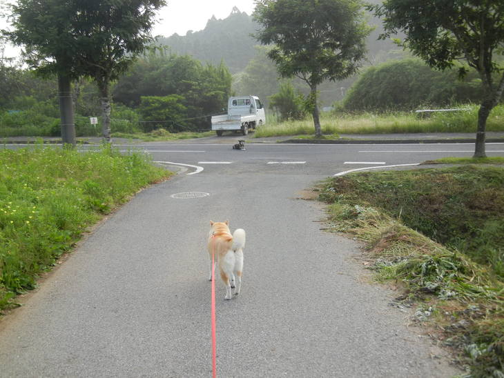 ’14,6、17(火)久しぶりに田舎道に行ったよ~!_f0060461_8492161.jpg