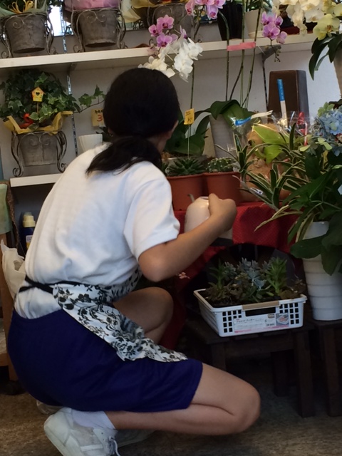 期間限定 カワイイ店員さん 中学生職場体験学習 矢野の花屋 フラワーショップなかの スタッフブログ 期間限定 カワイイ店員さん 中学生職場体験学習 矢野の花屋 フラワーショップなかの スタッフブログ
