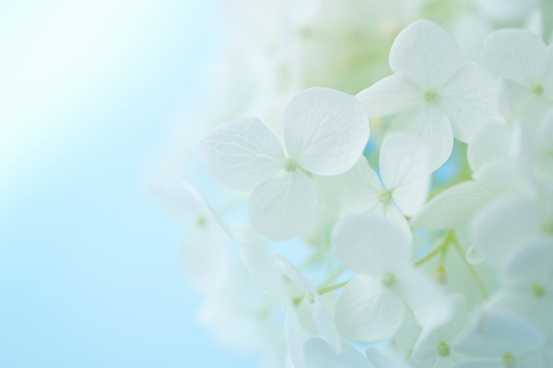 In Blue_f0099781_22211960.jpg