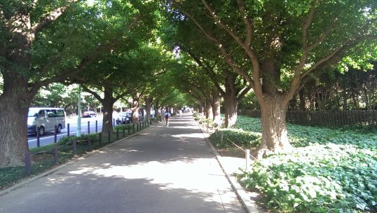 ラン・ウォーク・フォト（～神宮外苑～青山霊園～有栖川公園～目黒　計13km）_e0020682_20494556.jpg