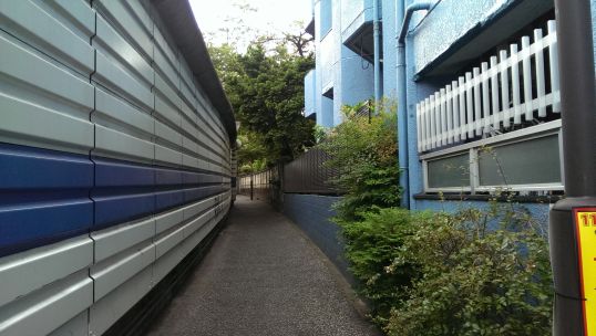 e0020682_2101417.jpg