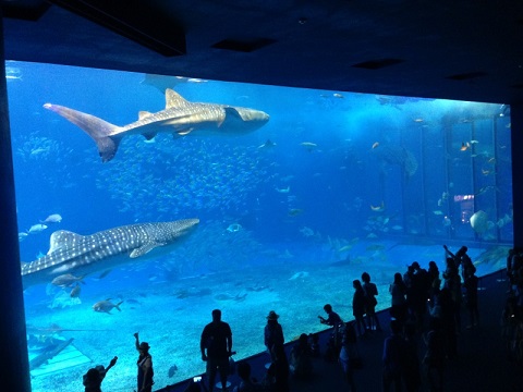 沖縄の旅2_f0202682_14452538.jpg