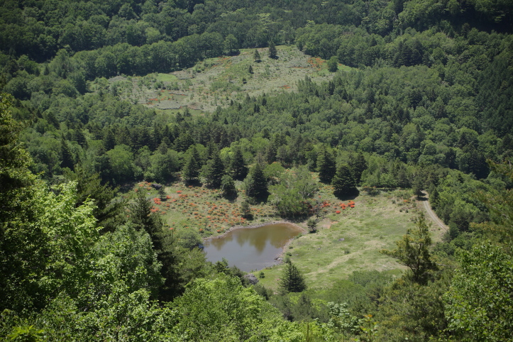 e0165983_09186.jpg