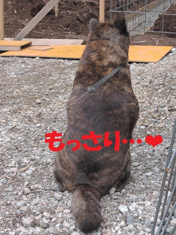 長坂町H野さん邸の現場より　７_a0211886_15563364.jpg