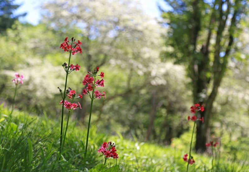 f0000789_20133369.jpg