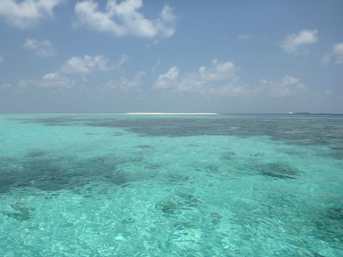 Kandolhu Island 2014-66　サンドバンクツアー　その4_c0147790_1431727.jpg