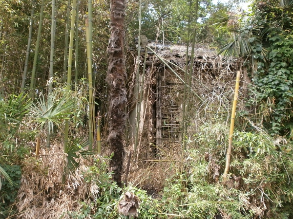 d0000995_94115.jpg