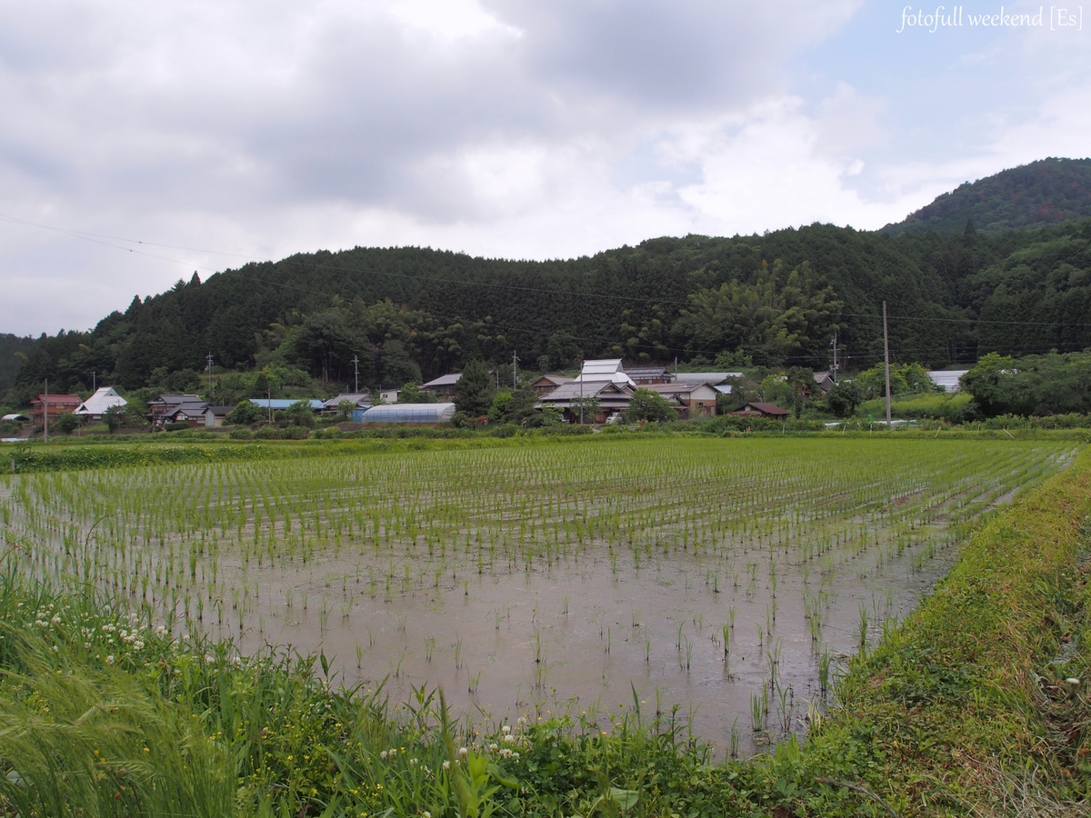 あらぎ島の帰りに ～ 丹生都比売神社_b0138101_20171395.jpg