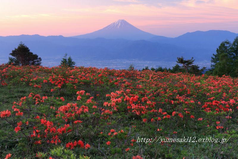 甘利山の夜明け_a0188405_21173287.jpg