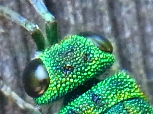 d0251807_18395975.jpg