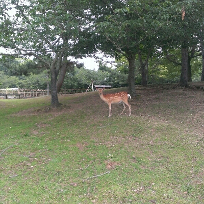 e0272108_12131523.jpg