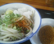 今日のうどん_b0005814_20534014.jpg