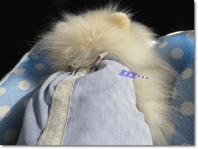 b0167519_1047532.gif