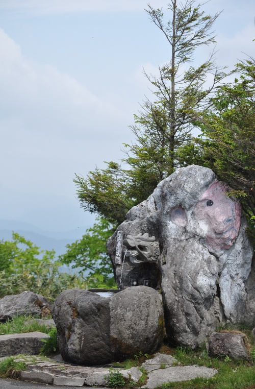 高山植物の宝庫_a0248728_1638791.jpg