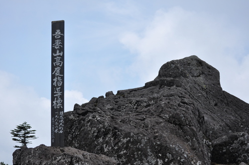 高山植物の宝庫_a0248728_165707.jpg