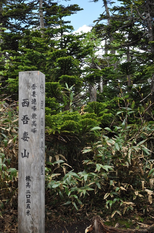 a0248728_17181275.jpg