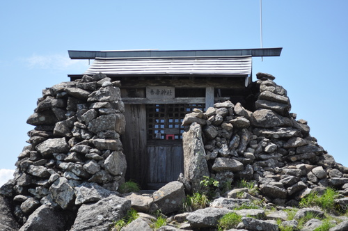 高山植物の宝庫_a0248728_1720650.jpg