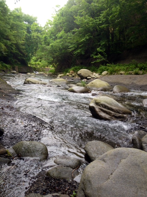 お気に入りのM川釣行 その1_c0149633_18043105.jpg