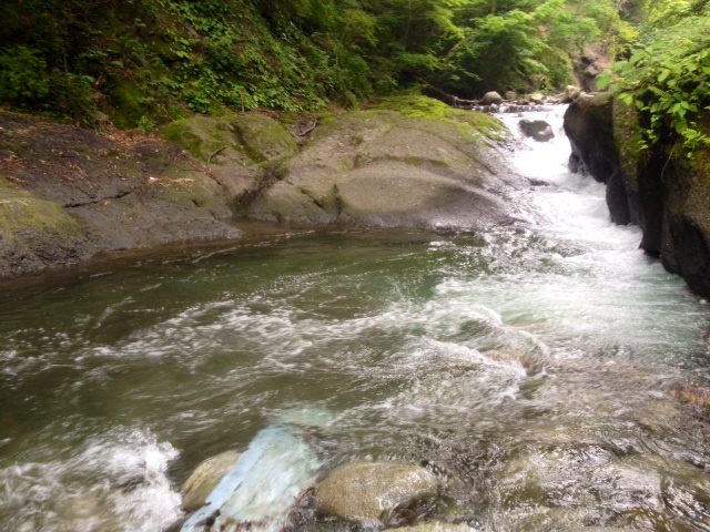 お気に入りのM川釣行 その1_c0149633_18133195.jpg