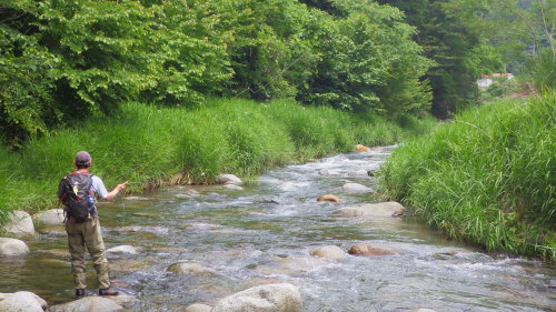 お気に入りのM川釣行 その1_c0149633_18270104.jpg