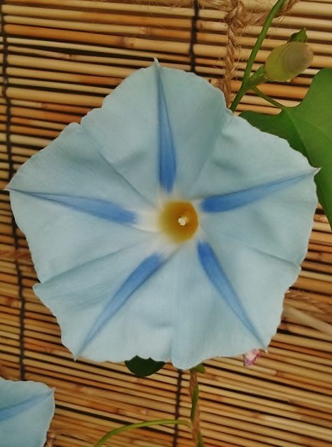 c0195134_9282423.jpg