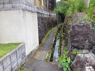 京都出張。薮内流茶室「燕庵」を見る！！_a0283239_1133094.jpg