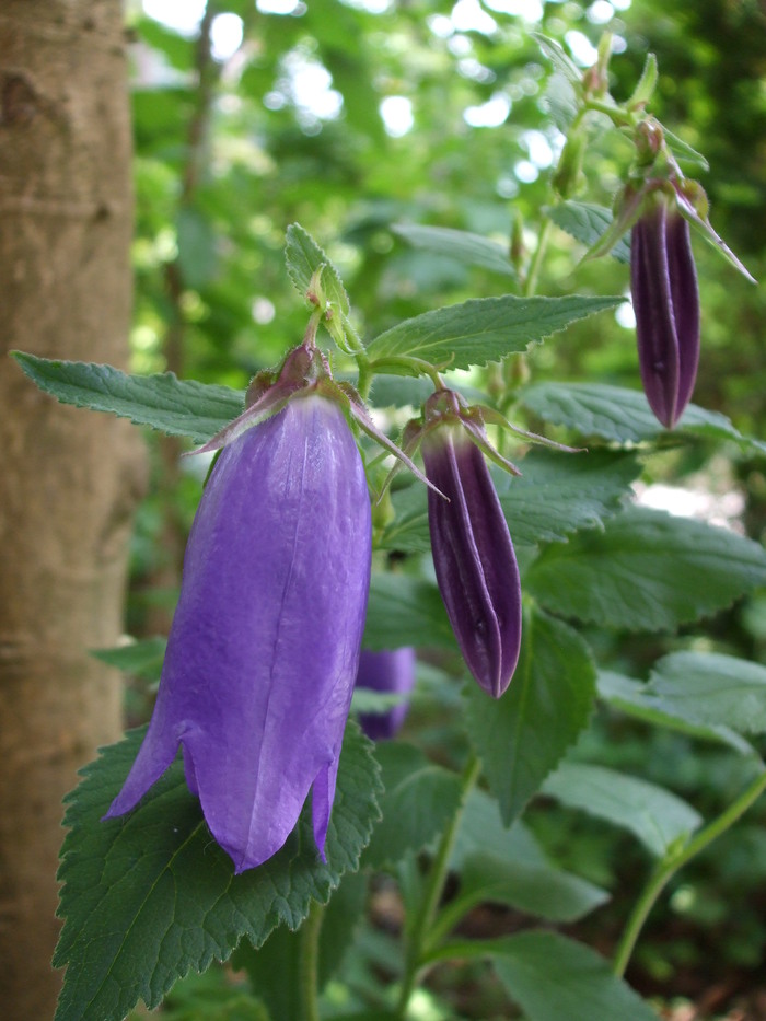 c0202242_8443261.jpg