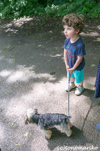 3才の少年の初めてのバブーさんぽ_c0024345_645854.jpg