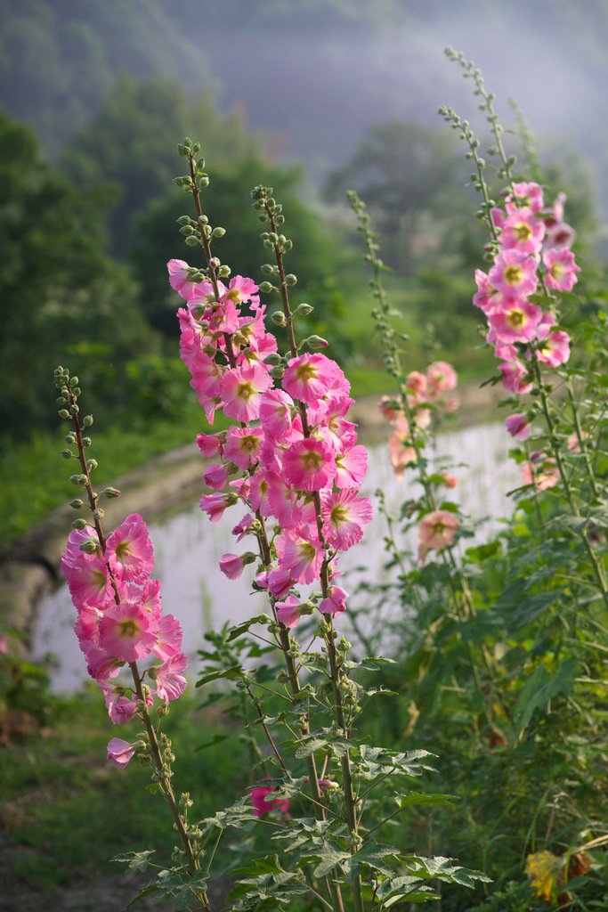b0147449_18581662.jpg
