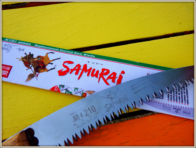 さすがのSamurai Japan !!_d0012449_2303783.jpg