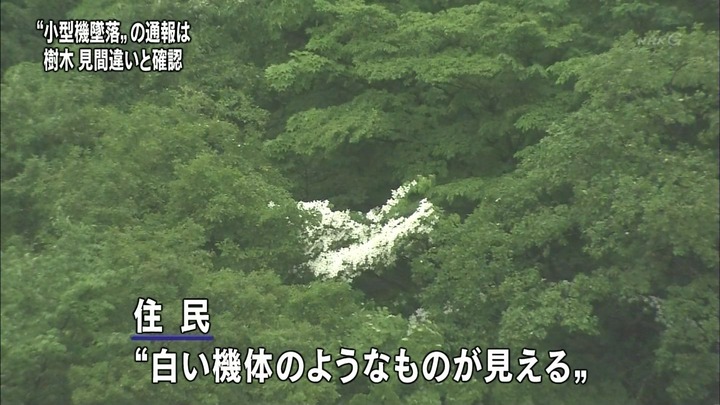 軽飛行機に間違えられた花 K2 Hair へようこそ 近江八幡 美容室