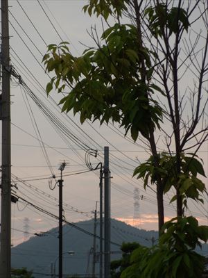住所と名前よく書いた一日!!!_d0165772_20422626.jpg