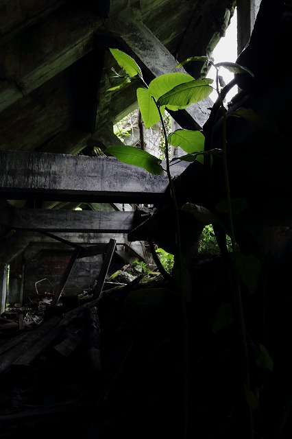 d0255874_3244577.jpg